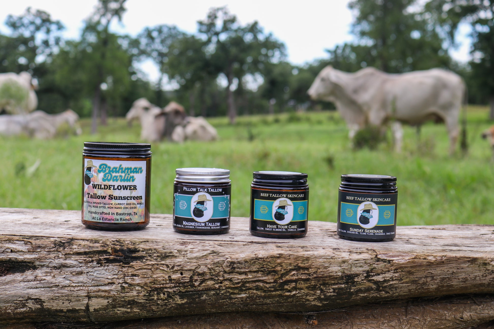 Wholesale Tallow