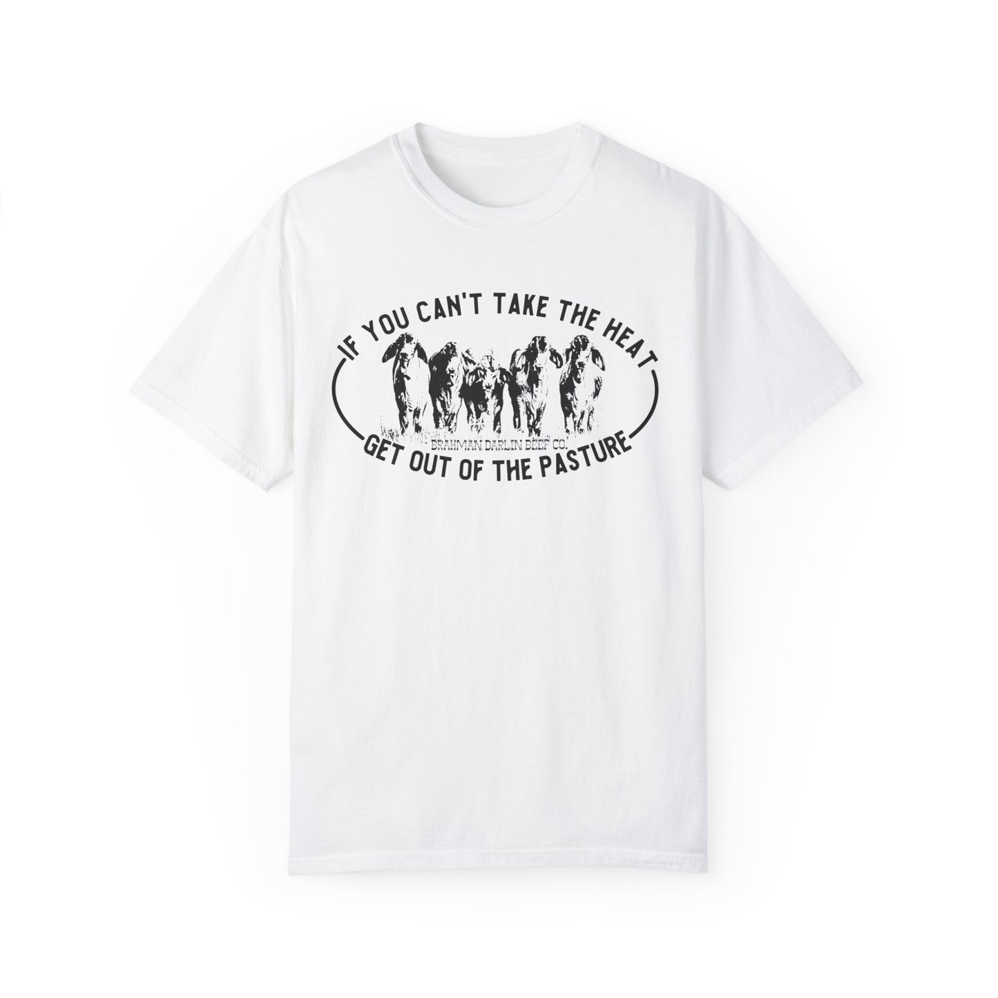 Can't Take the Heat Brahman T-Shirt