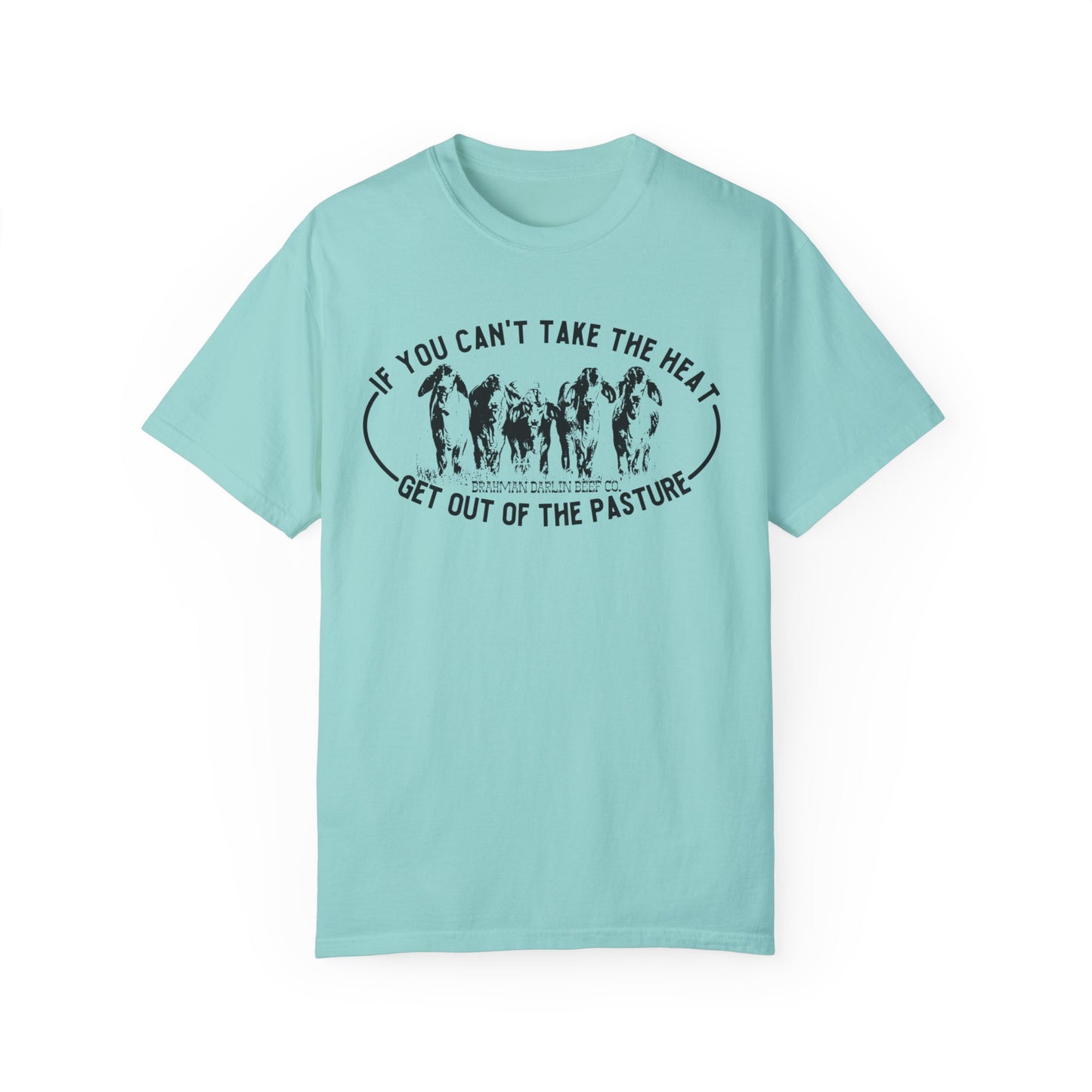 Can't Take the Heat Brahman T-Shirt