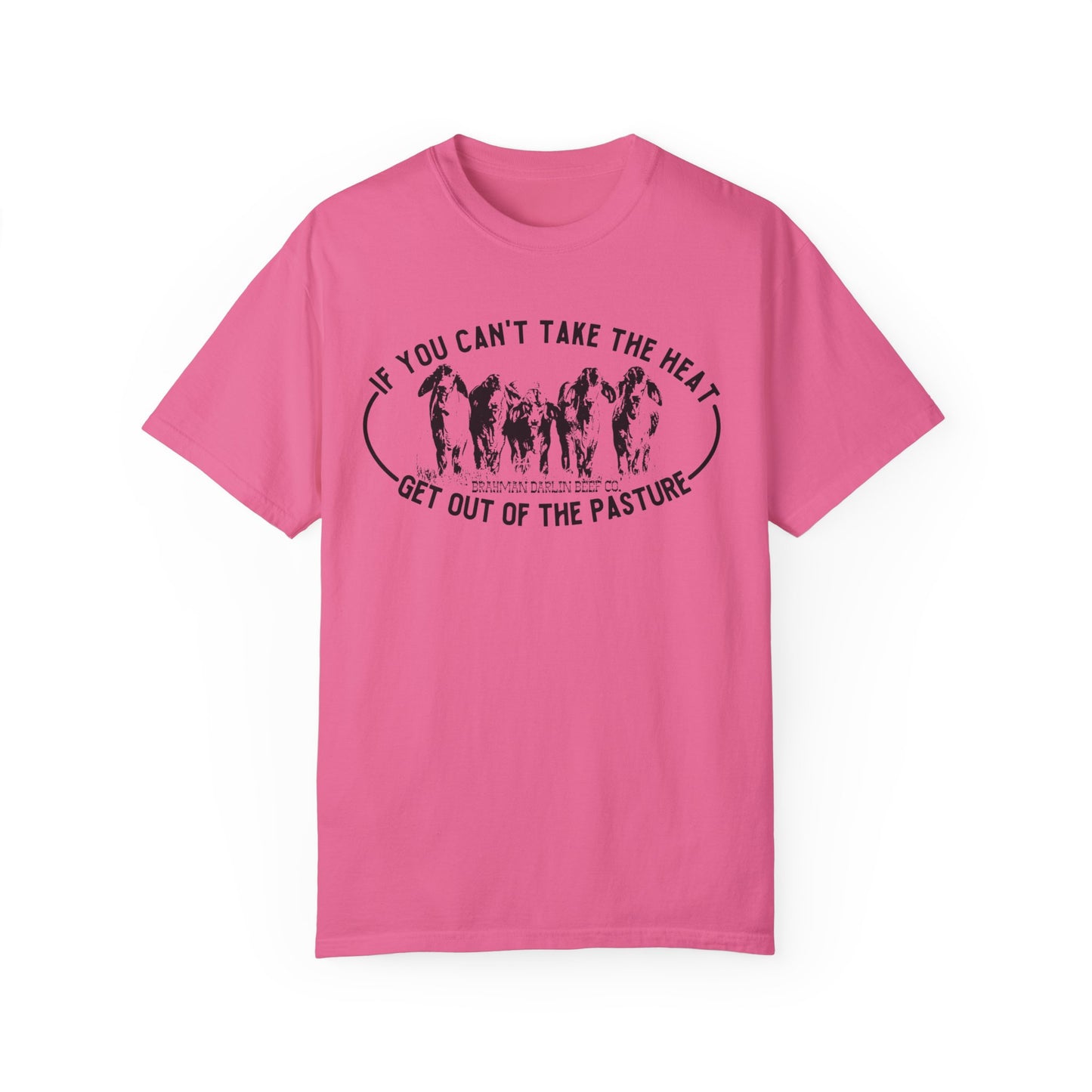 Can't Take the Heat Brahman T-Shirt