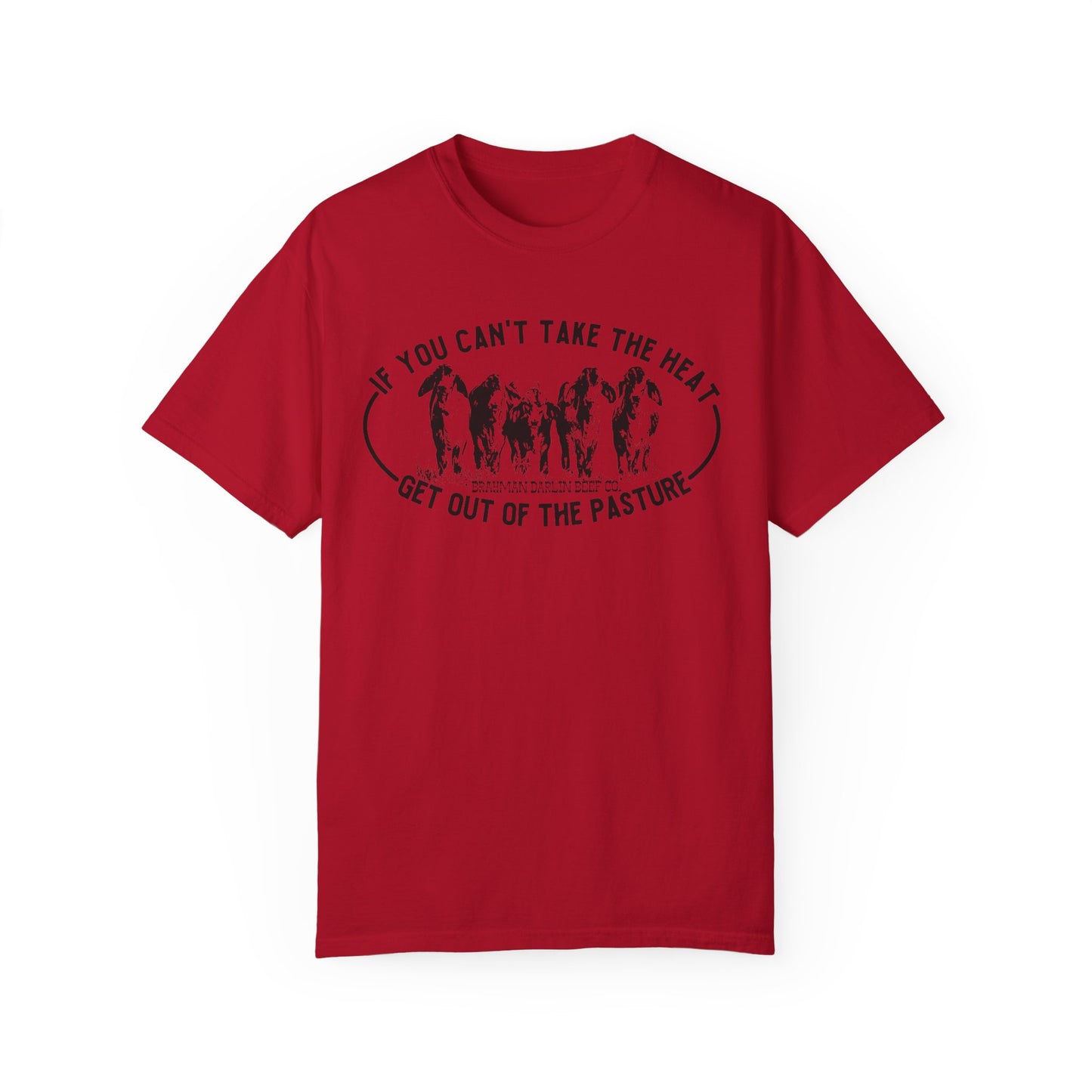 Can't Take the Heat Brahman T-Shirt