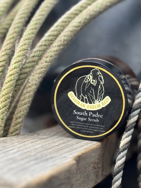 Sugar Scrub - South Padre